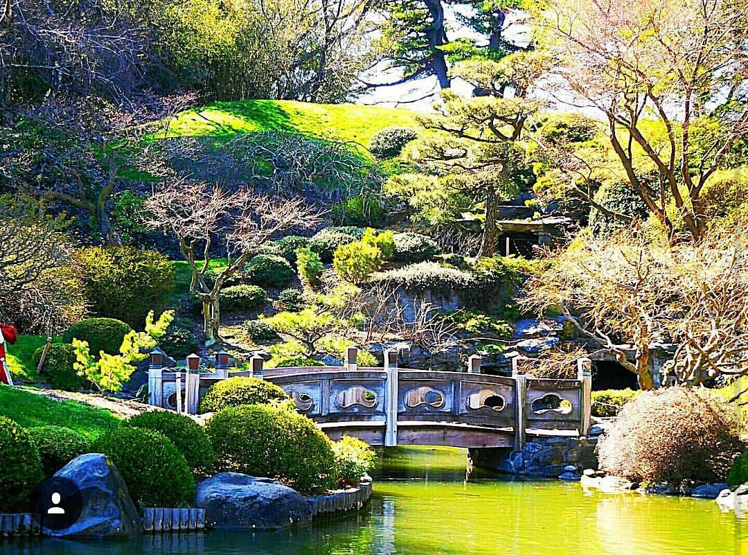 This image showcases a beautifully landscaped Japanese garden with a wooden bridge over a pond. The lush greenery, including meticulously pruned shrubs and trees, creates a serene atmosphere. The overall impression is one of tranquility and meticulous design, ideal for highlighting the property's outdoor aesthetic appeal.