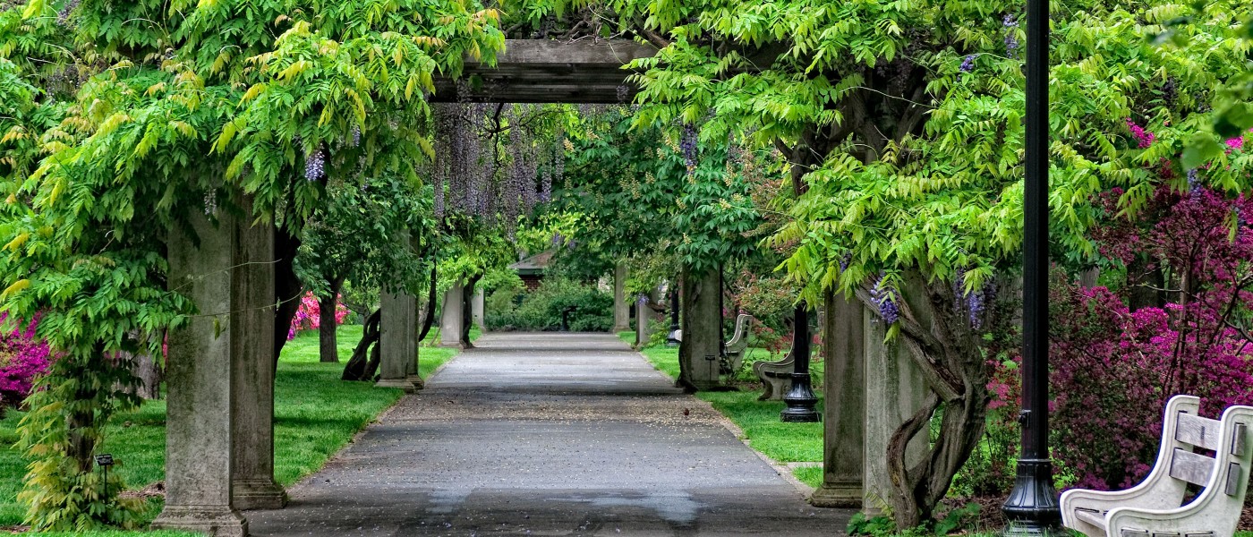 This image showcases a beautifully landscaped yard with a stone pathway lined with lush greenery and flowering plants. The pathway is framed by pergola-like structures covered in vines, creating a serene and inviting atmosphere. Benches are strategically placed, offering a peaceful resting spot within the garden.