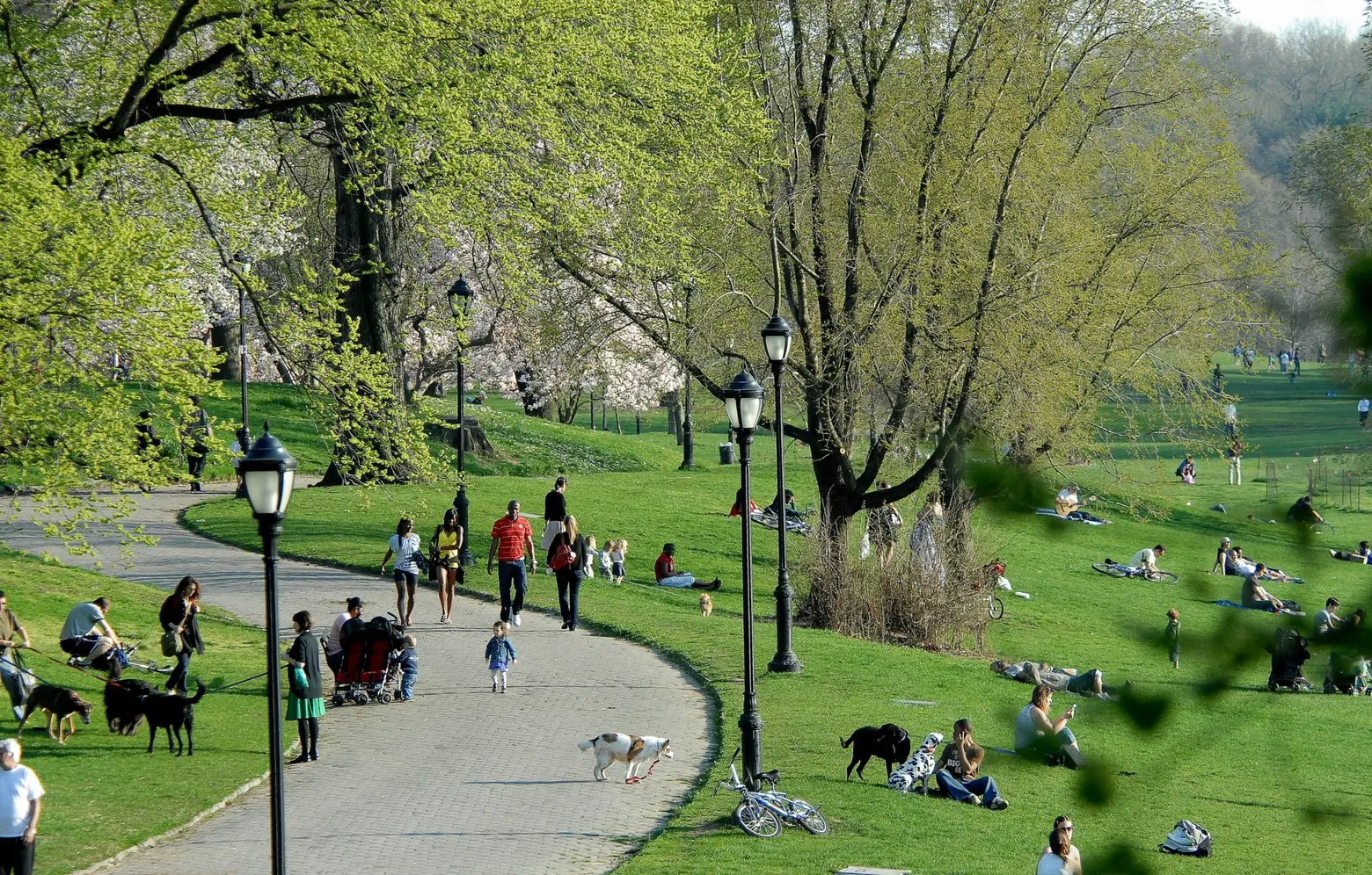 This image showcases a vibrant park setting with lush green lawns and mature trees, creating a welcoming environment for outdoor activities. A paved path meanders through the park, inviting pedestrians and cyclists alike, while people are seen relaxing and enjoying leisure activities on the grass. The scene promotes a sense of community and well-being, highlighting the park’s appeal as a desirable amenity.