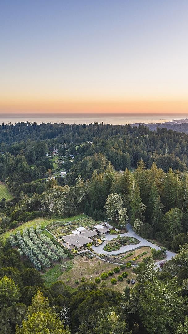 This stunning aerial perspective captures a sprawling estate nestled within a lush, forested landscape overlooking the distant ocean at sunset. The property features a modern residence surrounded by meticulously landscaped gardens, a structured orchard, and a winding driveway that integrates seamlessly into the natural terrain. The golden hour lighting enhances the serene and private atmosphere of this secluded retreat.