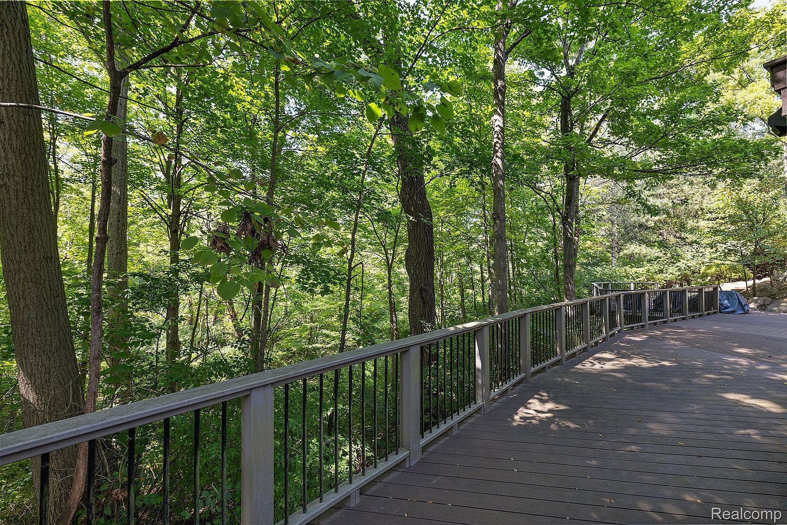 This image showcases a spacious wooden deck surrounded by lush greenery and tall trees, creating a serene and private outdoor living space. The deck features a railing with metal balusters, offering safety and a clean aesthetic. The overall impression is one of tranquility and connection with nature, perfect for relaxation and outdoor entertaining.