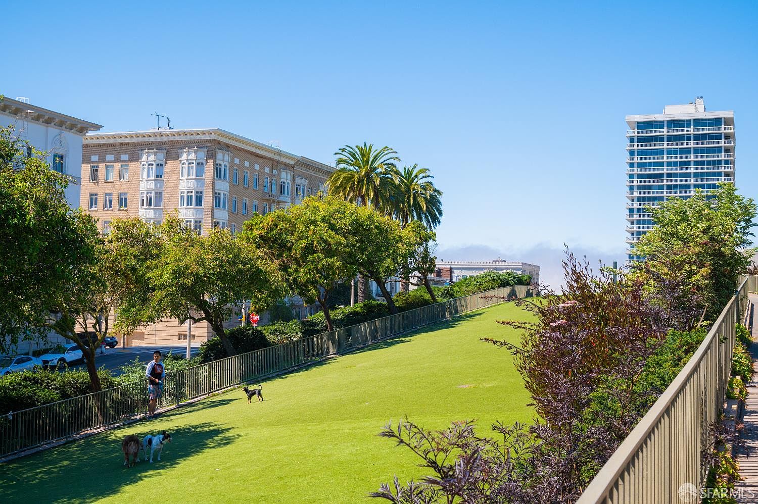 This image captures a vibrant, well-maintained community dog park featuring a lush green lawn, mature palm trees, and a secure perimeter fence. The perspective is elevated, looking down the length of the park toward a modern high-rise building in the distance, creating an inviting urban oasis atmosphere. The scene is bright and sunny, highlighting the recreational space available to residents.