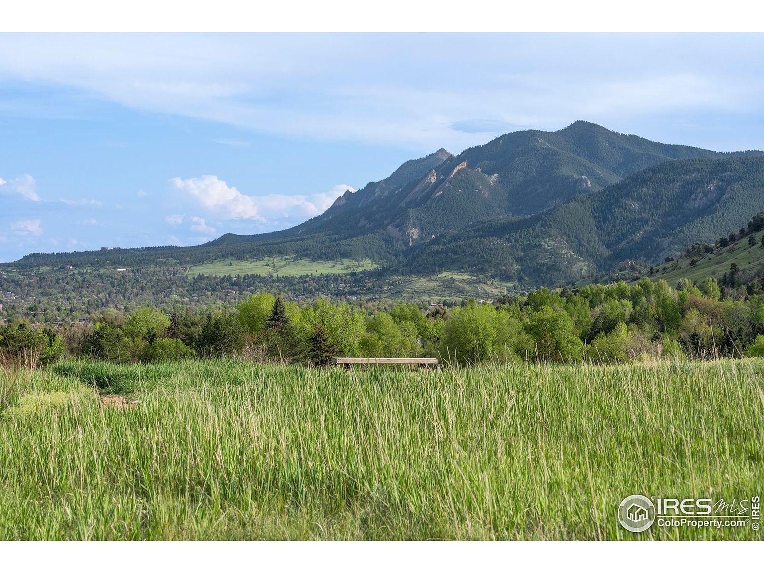 The image showcases a lush, green yard or garden with tall grasses in the foreground, leading to a line of trees and shrubs. In the background, a mountain range rises against a partly cloudy sky, creating a scenic backdrop. The overall impression is one of natural beauty and tranquility, suggesting a peaceful and private outdoor space.