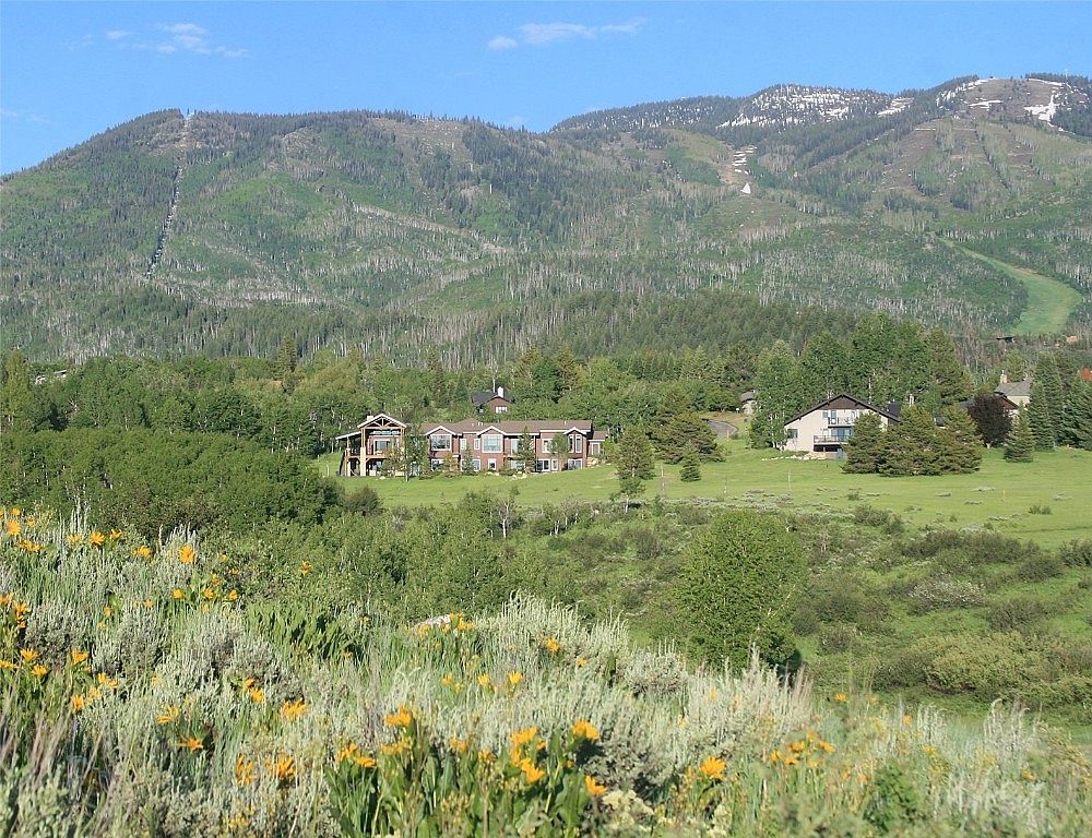 This image showcases a beautiful home nestled in a scenic mountain landscape. The property features well-maintained landscaping, including lush greenery and vibrant wildflowers in the foreground. The house itself appears to be a multi-story structure with a combination of natural wood and stone elements, blending harmoniously with its surroundings. The perspective is a wide shot, capturing the house, the surrounding landscape, and the mountains in the background.