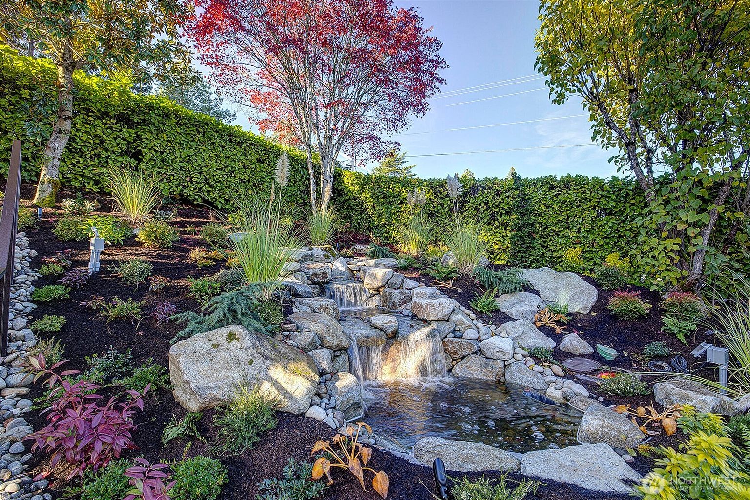 This beautifully landscaped backyard features a tiered stone waterfall cascading into a small, serene pond. The garden is meticulously maintained with a variety of ornamental grasses, shrubs, and a vibrant red-leafed tree, all set against a lush, tall privacy hedge. The scene is captured from a slightly elevated perspective, emphasizing the tranquil and well-designed outdoor living space.