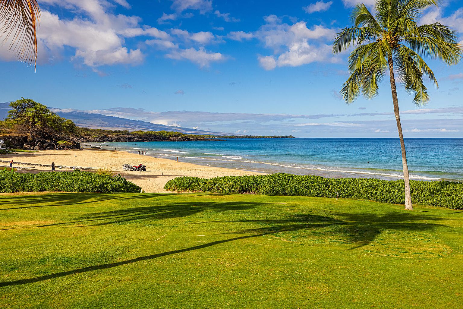 This image showcases a beautiful yard or garden area extending towards a sandy beach and ocean. A lush green lawn in the foreground transitions to a beach with an ATV, and a palm tree stands prominently to the right. The scene is set against a backdrop of a clear blue sky with scattered clouds, creating a serene and inviting atmosphere.