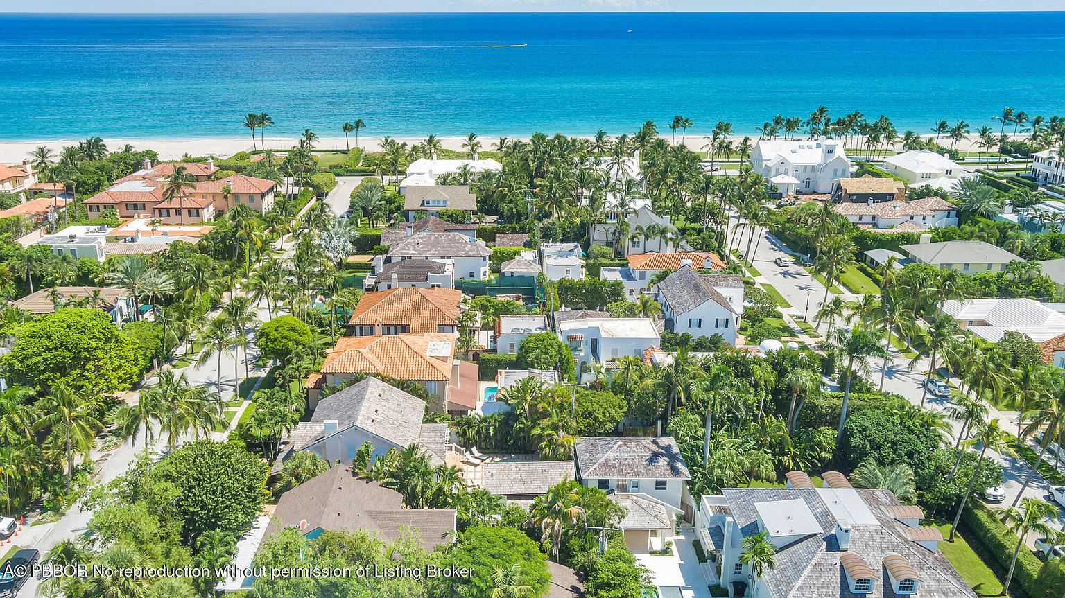 This aerial shot showcases a luxurious residential area near the ocean. The scene features a mix of houses with varying architectural styles, lush greenery with palm trees, and a clear view of the ocean and beach in the background. The perspective gives a sense of the neighborhood's proximity to the water and the overall upscale environment.