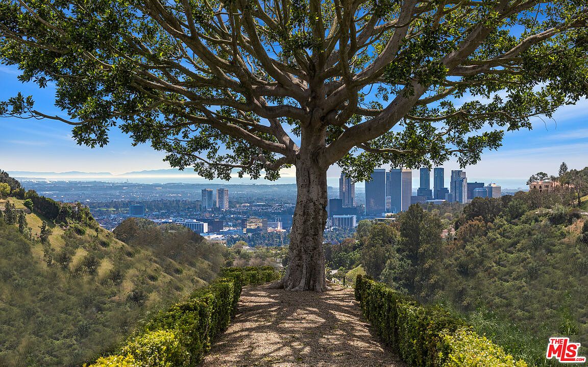 This image showcases a stunning yard or garden with a grand tree as its centerpiece, framing a panoramic view of the city skyline. A meticulously maintained pathway lined with hedges leads to the tree, creating a sense of depth and tranquility. The scene evokes a feeling of serenity and exclusivity, highlighting the property's potential for outdoor enjoyment and relaxation.