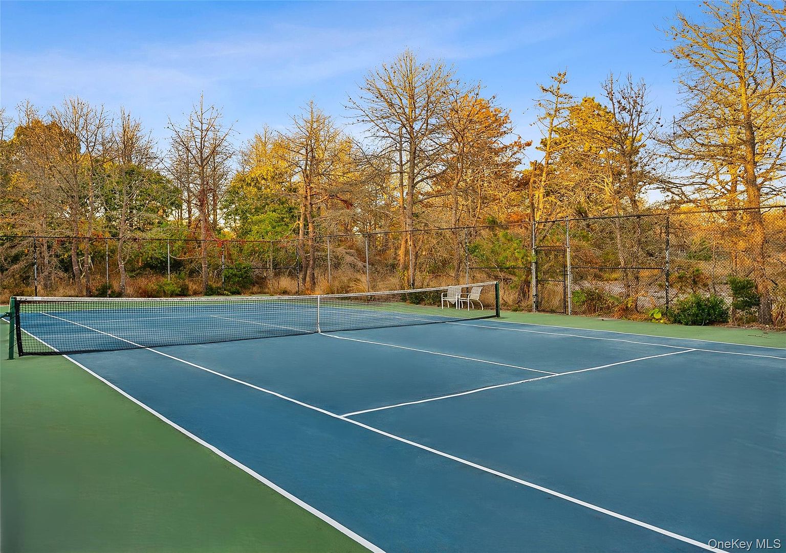 This image showcases a well-maintained tennis court, featuring a blue and green playing surface with crisp white lines and a standard net. The court is surrounded by a chain-link fence and mature trees, providing a sense of privacy and a pleasant backdrop. The overall impression is one of a high-quality recreational amenity.