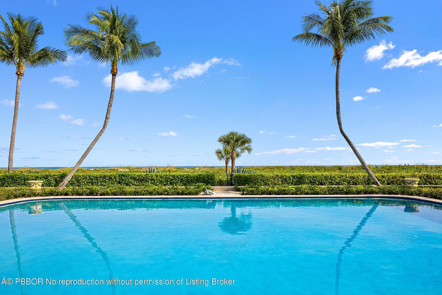 This image showcases a luxurious pool area with a serene and inviting atmosphere. The crystal-clear blue pool water reflects the sky, while palm trees frame the scene, adding a tropical touch. A manicured green hedge provides privacy and a sense of seclusion, enhancing the overall appeal of this outdoor oasis.