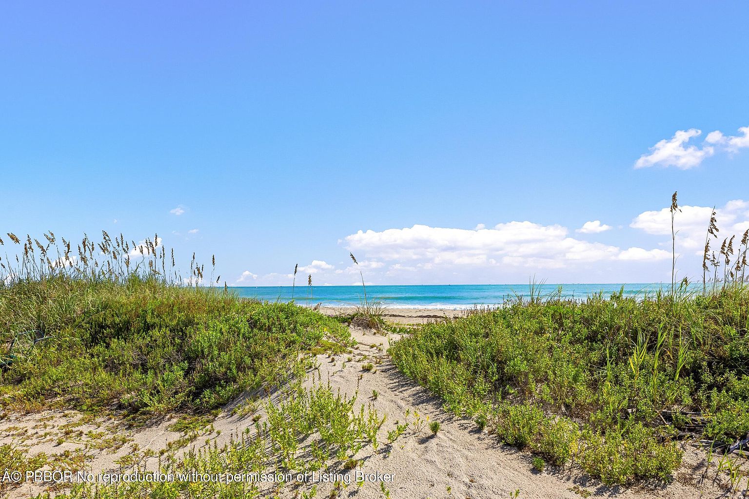 This image showcases a sandy path leading towards the ocean, framed by lush greenery and tall grasses on either side. The clear blue sky and turquoise water create a serene and inviting atmosphere. The scene evokes a sense of tranquility and natural beauty, highlighting the property's proximity to the beach.