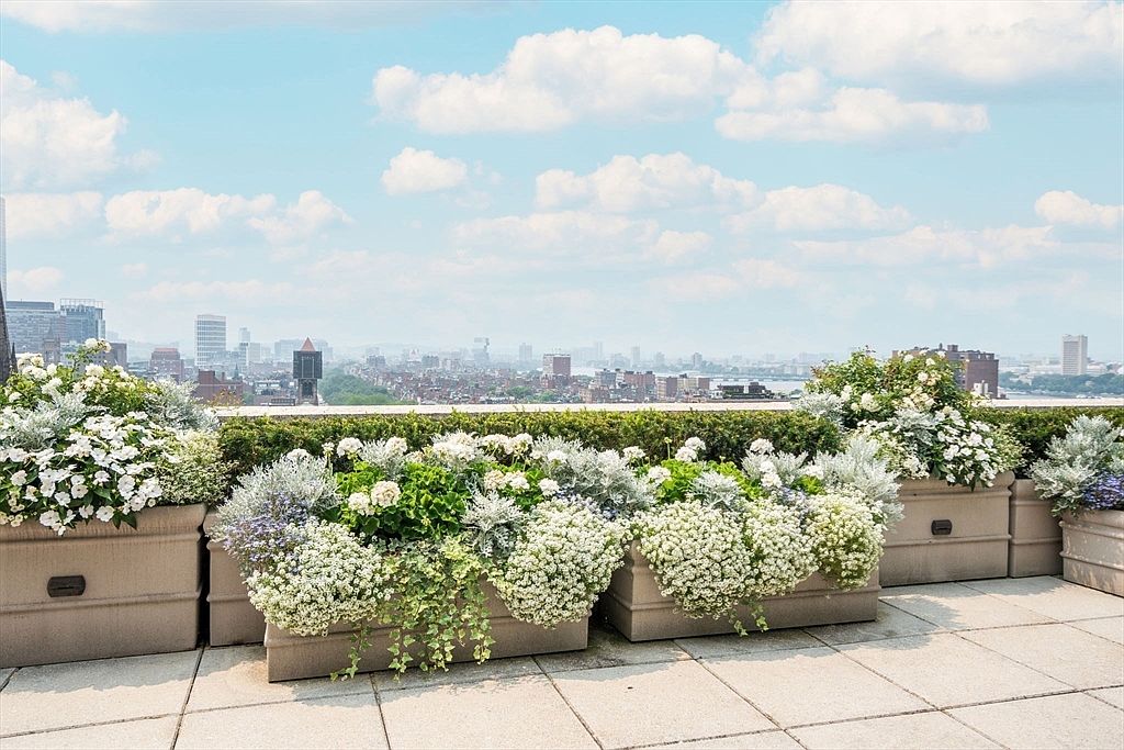 This image showcases a beautifully landscaped patio or balcony with a stunning city view. The foreground features large planters overflowing with white flowers and greenery, creating a serene and inviting atmosphere. The cityscape in the background adds a sense of urban sophistication and highlights the property's desirable location.