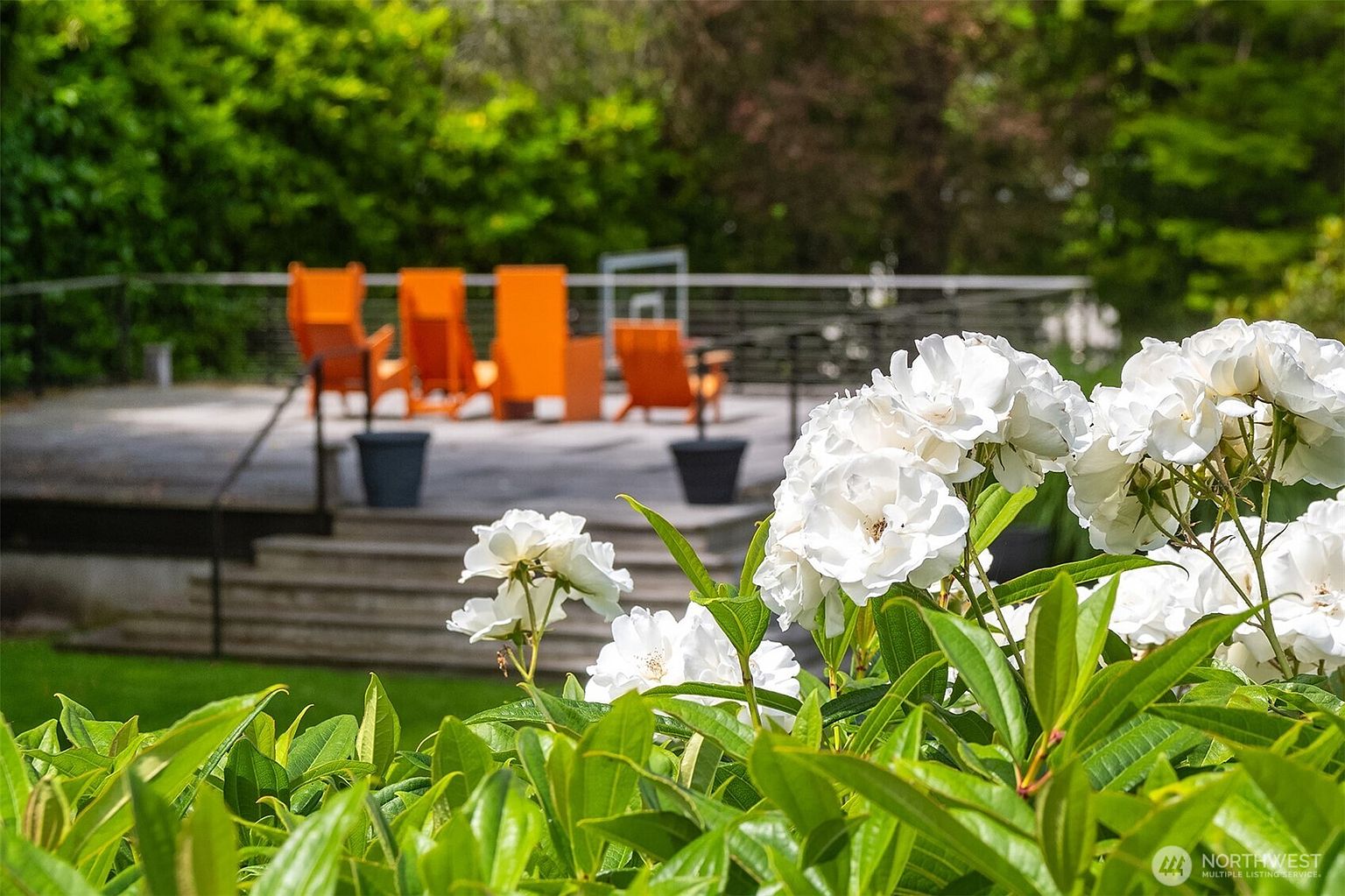 This outdoor space features a multi-level wooden deck furnished with several bright orange chairs, creating a vibrant and inviting seating area. The foreground is dominated by a lush, out-of-focus cluster of white flowers, which provides a soft, natural frame for the deck beyond. The scene is captured from a low, eye-level perspective, emphasizing the transition from the garden to the elevated outdoor living area.