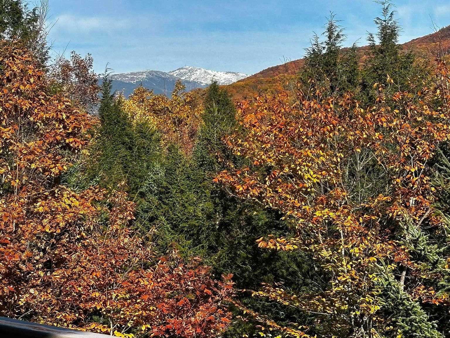 This view, likely captured from a balcony or deck, showcases a stunning autumnal landscape with vibrant orange and yellow foliage in the foreground. Beyond the dense forest, a majestic mountain peak with a dusting of snow rises against a clear blue sky. The perspective emphasizes the property's scenic location and connection to the natural environment.