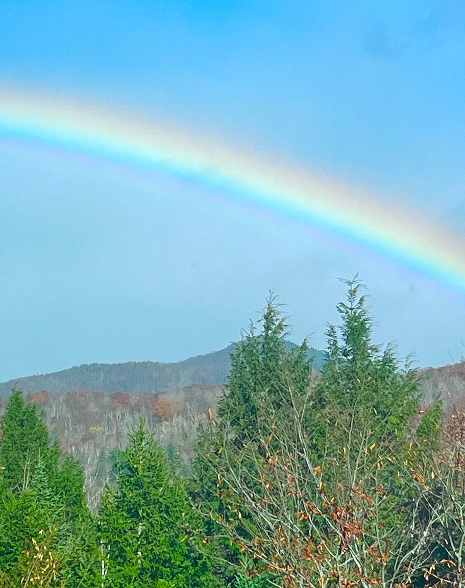 This scenic landscape view captures a vibrant rainbow arching across a clear blue sky above a dense, forested mountain range. The foreground features lush evergreen trees, providing a natural frame for the expansive, elevated vista. The image conveys a serene and picturesque atmosphere, highlighting the natural beauty and potential views available from the property.