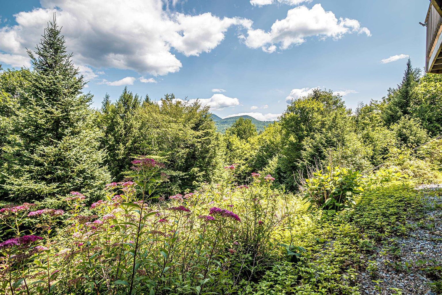 This scenic outdoor view captures a lush garden filled with vibrant pink wildflowers in the foreground, leading into a dense forest of mature green trees. In the distance, rolling mountain peaks are visible under a bright blue sky dotted with fluffy white clouds. The perspective is from an elevated position, likely a deck, looking out over the natural landscape.
