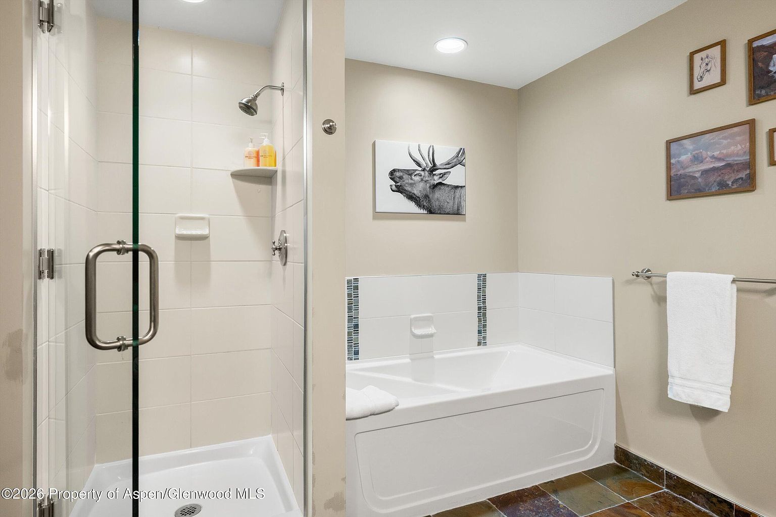 This is a well-lit primary bathroom featuring a glass-enclosed shower with white tiled walls and a built-in shelf for toiletries. Adjacent to the shower is a white bathtub with decorative tile accents, complemented by artwork on the wall. The floor is tiled with multi-colored slate, and a towel bar with a white towel is visible, creating a clean and inviting space.