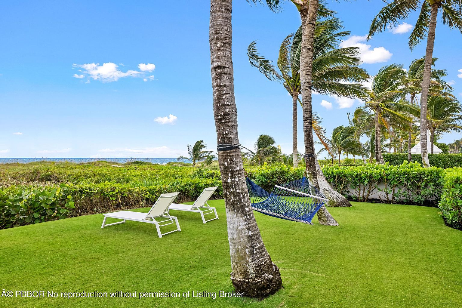 This image showcases a beautifully maintained yard with lush green grass and several palm trees. Two lounge chairs are positioned on the lawn, suggesting a relaxing outdoor space. A hammock is strung between two palm trees, adding to the tranquil atmosphere. The ocean is visible in the background, indicating a desirable coastal location.