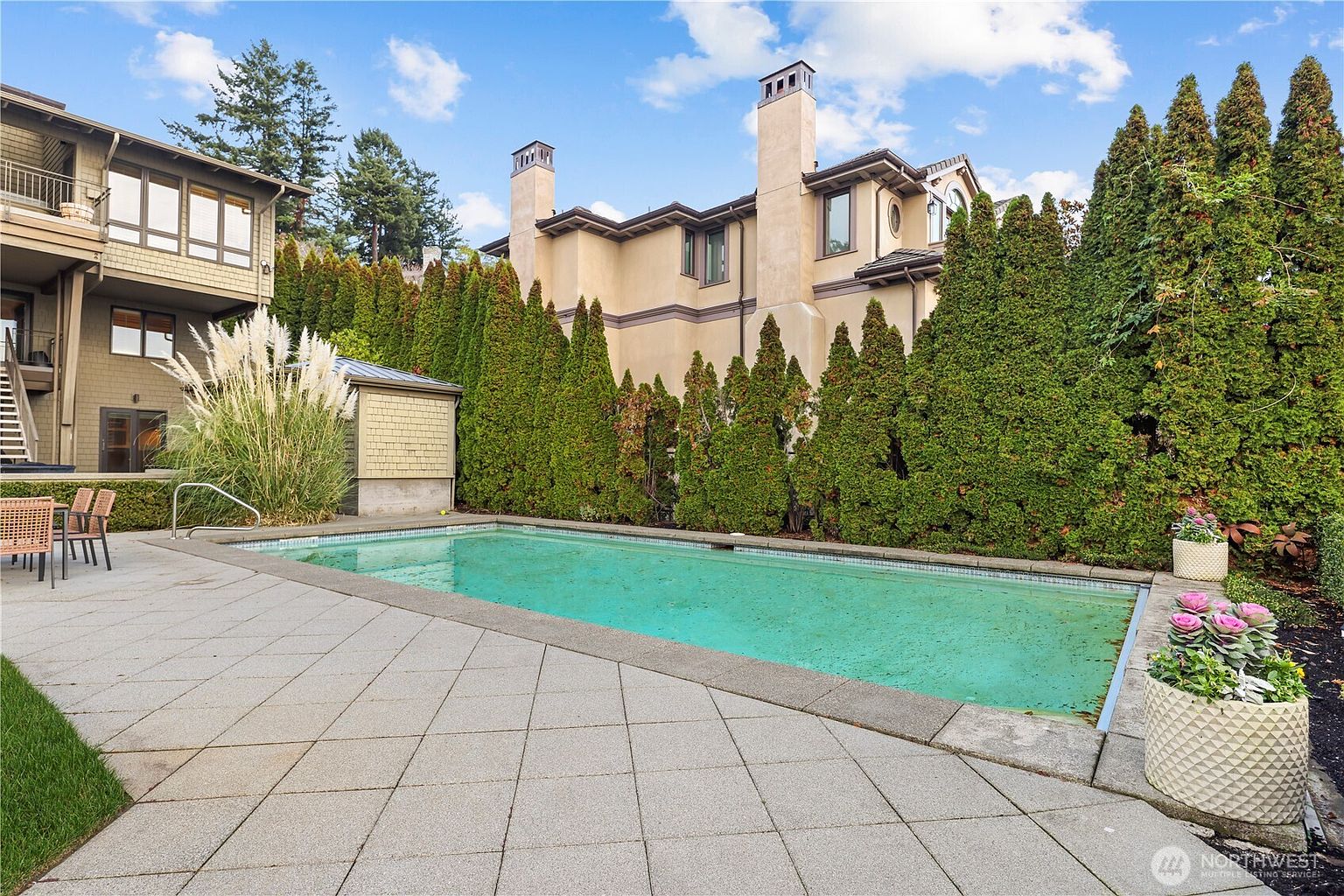 This image captures a serene backyard featuring a rectangular swimming pool set within a spacious stone-paved patio. The area is framed by a tall, dense hedge of evergreen trees that provide privacy, while the multi-story home in the background adds architectural interest. The scene is bathed in bright daylight, highlighting the clean lines of the pool and the well-maintained outdoor living space.