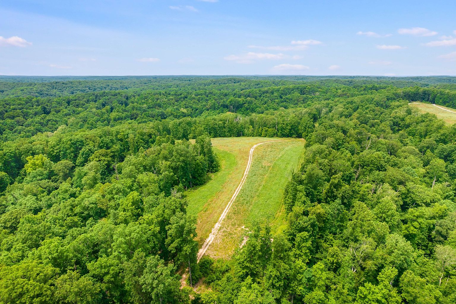 This aerial view showcases a vast expanse of lush, green forest, bisected by a dirt road or clearing that leads into the distance. The landscape is predominantly trees, suggesting a secluded and natural setting. The image conveys a sense of privacy and potential for outdoor activities.