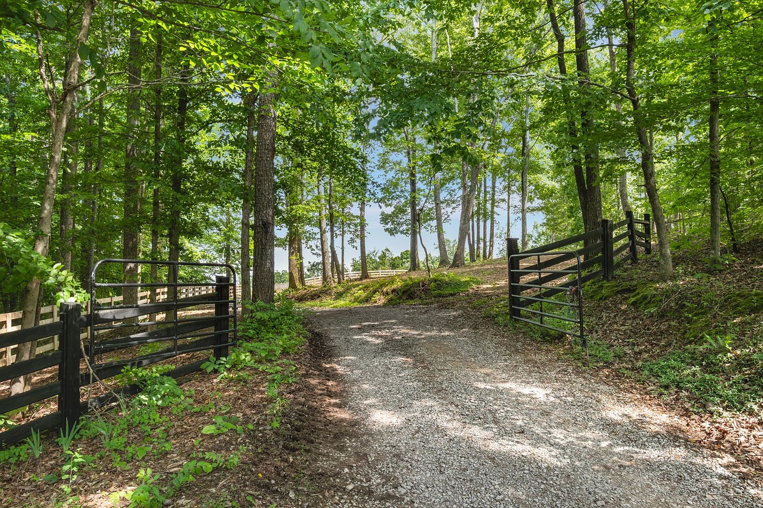 The image showcases a gravel driveway leading through an open gate into a lush, wooded property. Sunlight filters through the dense canopy of trees, creating dappled light on the driveway. The scene evokes a sense of privacy and natural beauty, suggesting a secluded and peaceful setting.