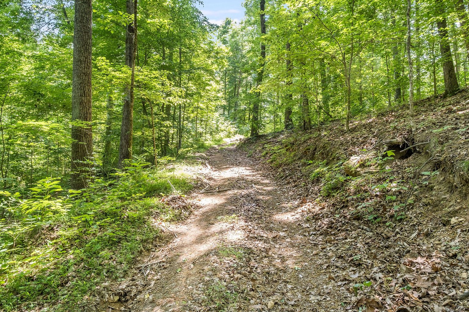 The image showcases a natural, wooded pathway, possibly a trail or driveway, leading through a lush green forest. Sunlight filters through the trees, creating dappled light on the path covered with leaves and dirt. The scene evokes a sense of privacy and natural beauty, suggesting a property with ample outdoor space and potential for recreational activities.