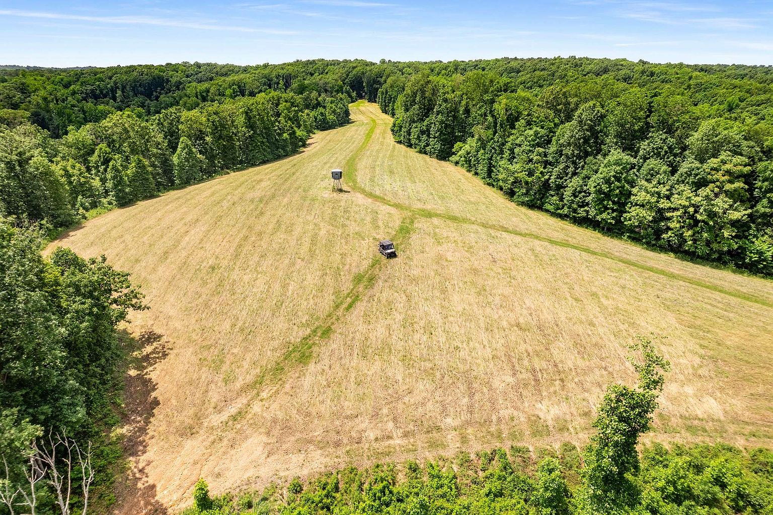 This aerial view showcases a vast, gently sloping field of golden grass, bordered by lush green forests. A dirt path winds through the field, leading to a small structure and a vehicle, suggesting accessibility and potential for various outdoor activities. The expansive landscape and natural surroundings create a sense of privacy and tranquility.