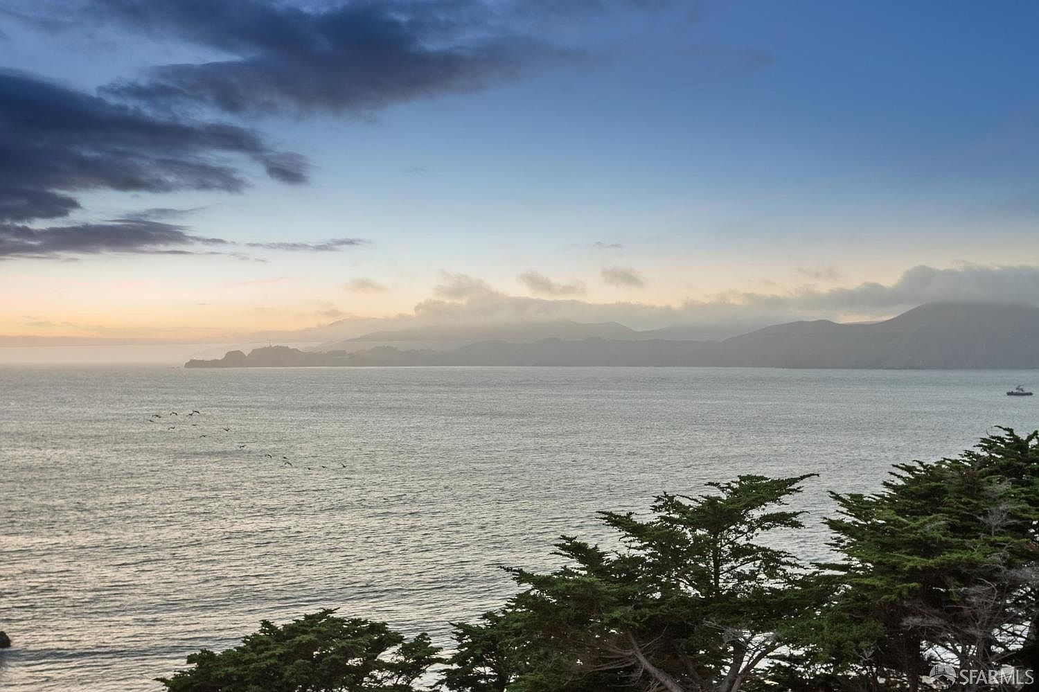 This scenic view captures a tranquil coastal landscape at dusk, featuring a vast expanse of water under a soft, cloud-dappled sky. In the foreground, the dark, textured silhouettes of evergreen trees frame the composition, while distant rolling hills fade into the horizon. The perspective is elevated, suggesting a vantage point from a high-altitude property overlooking the bay.