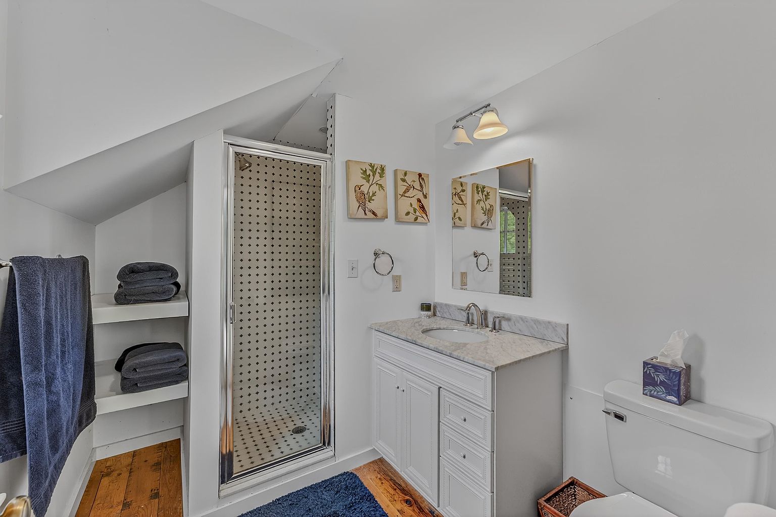 This compact bathroom features a white vanity with a stone countertop, a glass-enclosed shower, and a toilet. The space is accented by bird-themed wall art and open shelving built into the angled wall, creating a cozy and functional layout. The room is finished with light-colored walls and wood flooring, providing a clean and bright aesthetic.