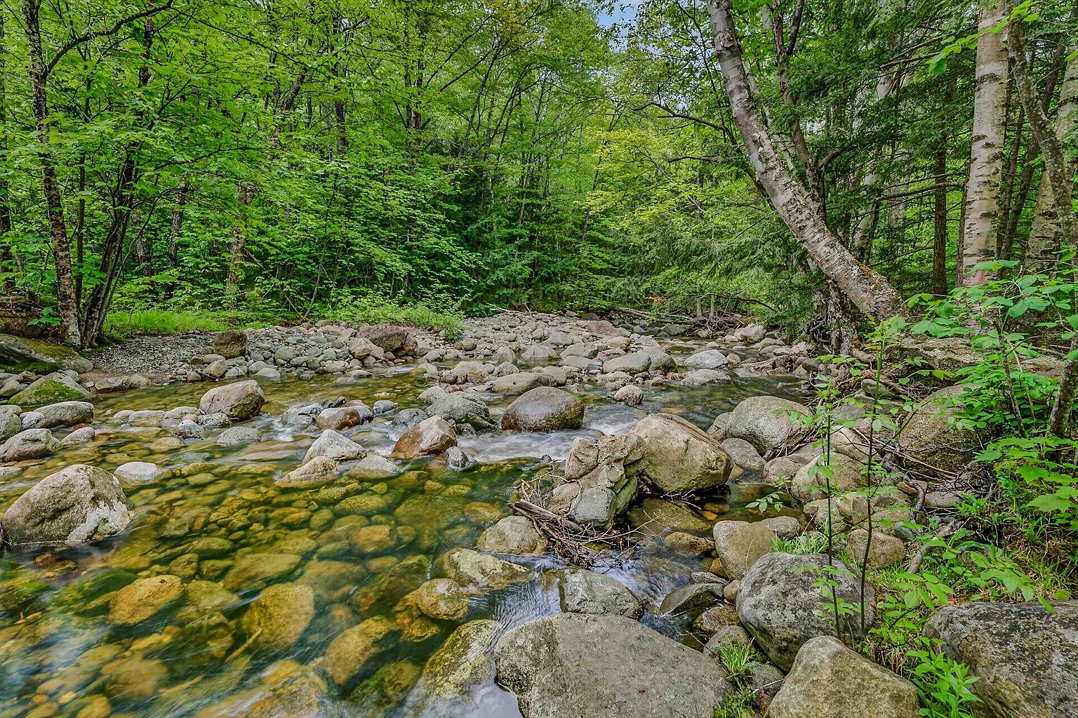 This scenic outdoor view features a shallow, rocky stream winding through a lush, dense forest. The foreground is filled with smooth, moss-covered stones and clear, flowing water, while the background showcases a vibrant canopy of green trees. The perspective is low and immersive, capturing the tranquil and natural beauty of the property's landscape.