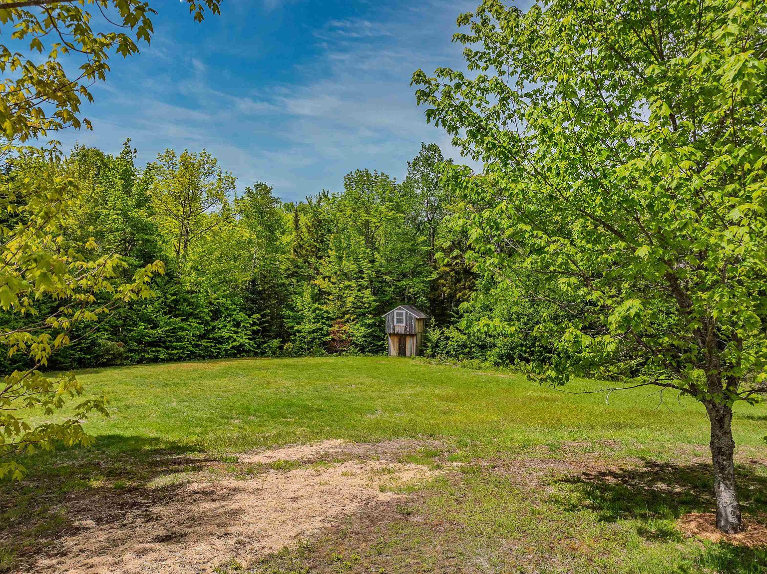This image captures a spacious, grassy backyard bordered by a dense, lush forest of mature green trees. In the center of the lawn, a small, rustic wooden shed stands as a focal point against the backdrop of the woods. The scene is bathed in bright, natural daylight, emphasizing the open space and the tranquil, private setting of the property.