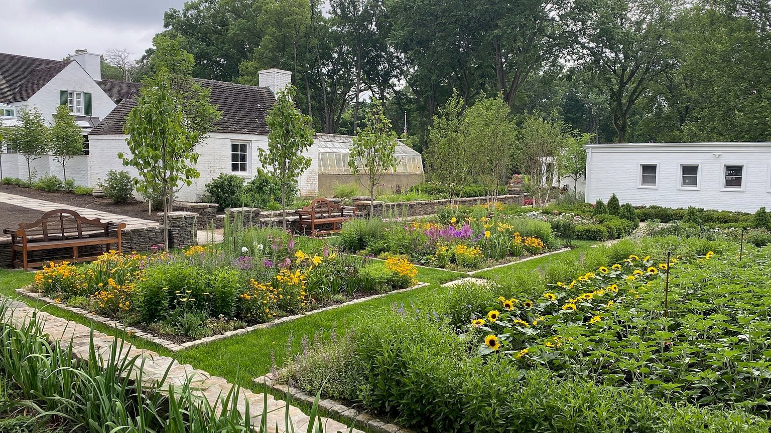 This beautifully landscaped garden features structured, rectangular planting beds filled with a vibrant mix of sunflowers, perennials, and lush greenery. A stone-paved path winds through the space, complemented by wooden benches and a stone retaining wall that adds texture and depth. In the background, a white cottage-style building with a greenhouse and a separate white structure create a charming, serene estate atmosphere.