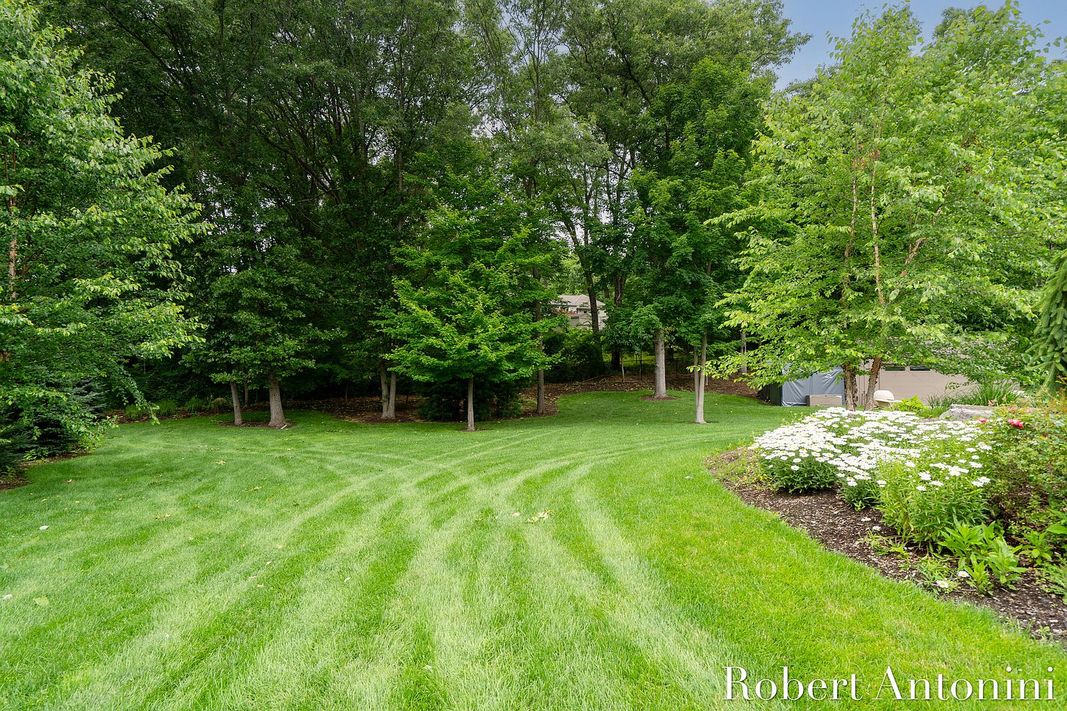 This image showcases a well-maintained backyard with lush green grass and mature trees providing ample shade. The lawn features distinct mowing patterns, adding visual interest. A flower bed with white blooms and other greenery borders the lawn, enhancing the garden's appeal and creating a serene outdoor space.