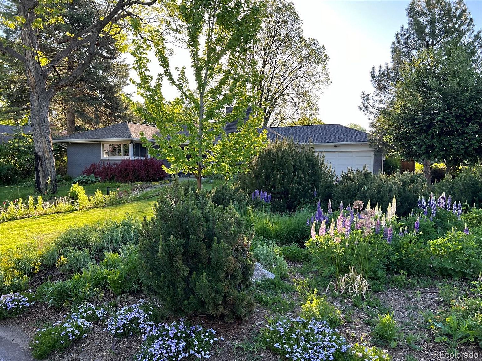 The image showcases a beautifully landscaped front yard with a variety of flowering plants, shrubs, and trees. A well-maintained lawn leads to a gray brick house with a visible garage. The overall impression is one of a lush, inviting, and well-cared-for property, emphasizing curb appeal.