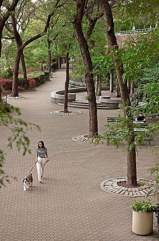 This high-angle shot captures a serene, paved park walkway lined with mature trees and circular tree wells, creating a peaceful urban oasis. A woman is seen walking her dog along the path, while a person sits on a bench in the background, emphasizing the community-focused, recreational nature of the space. The scene conveys a tranquil, well-maintained environment ideal for leisure and outdoor activity.