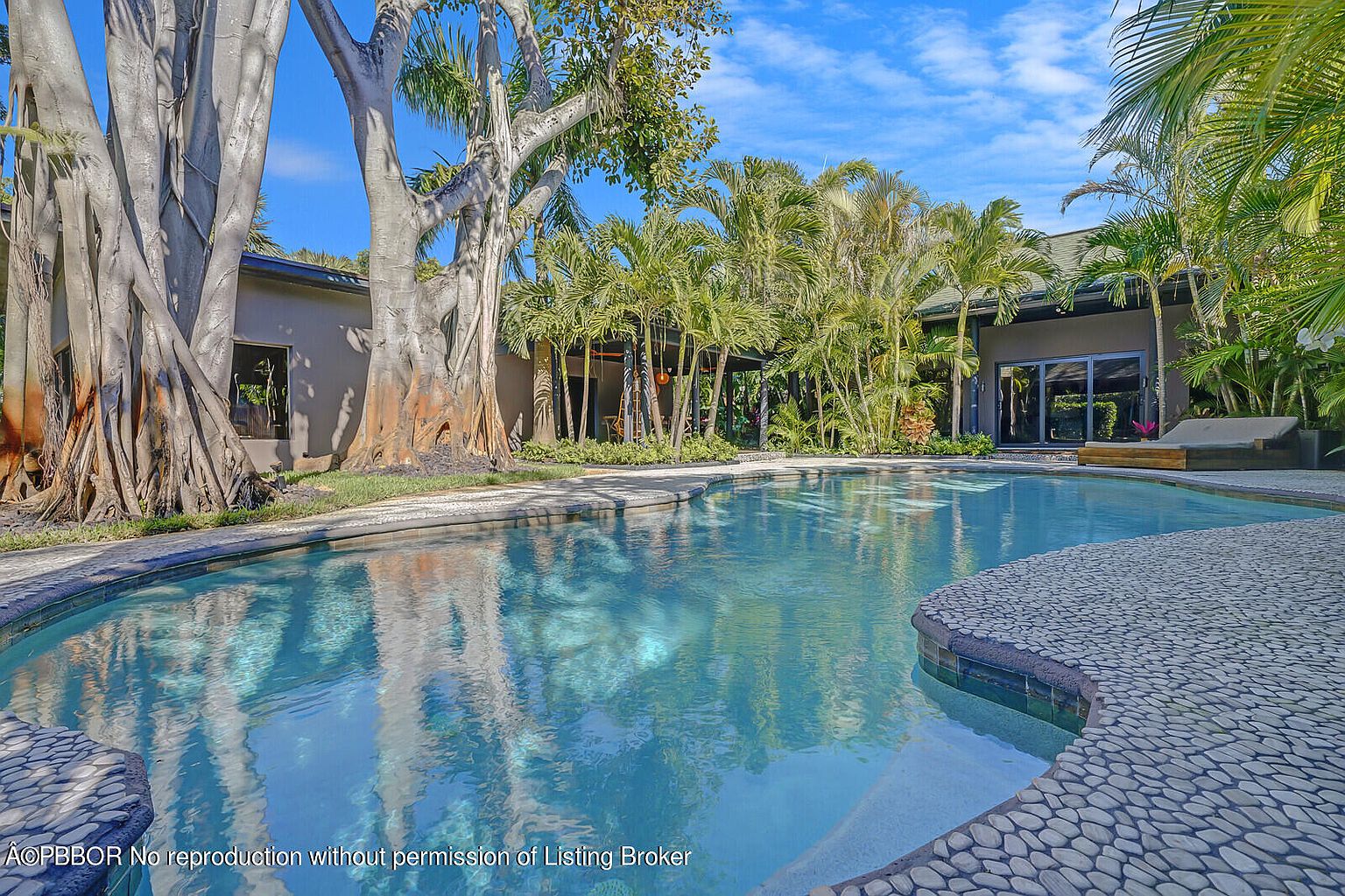 This image showcases a luxurious backyard pool area, featuring a freeform pool with clear blue water and a pebble-stone surround. Lush tropical landscaping, including palm trees and mature trees, frames the pool, creating a private and serene oasis. The architecture of the house is visible in the background, suggesting a modern design with large glass doors.