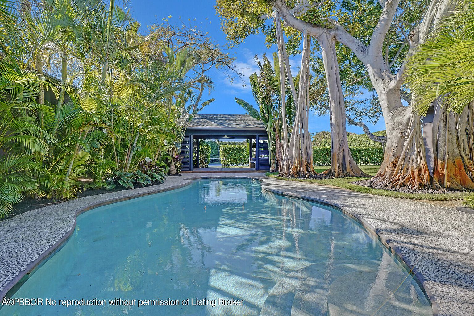 This image showcases a serene swimming pool area, surrounded by lush tropical landscaping and mature trees. A covered pavilion is visible in the background, adding an element of architectural interest. The pool's clear water and the natural setting create a tranquil and inviting outdoor space.