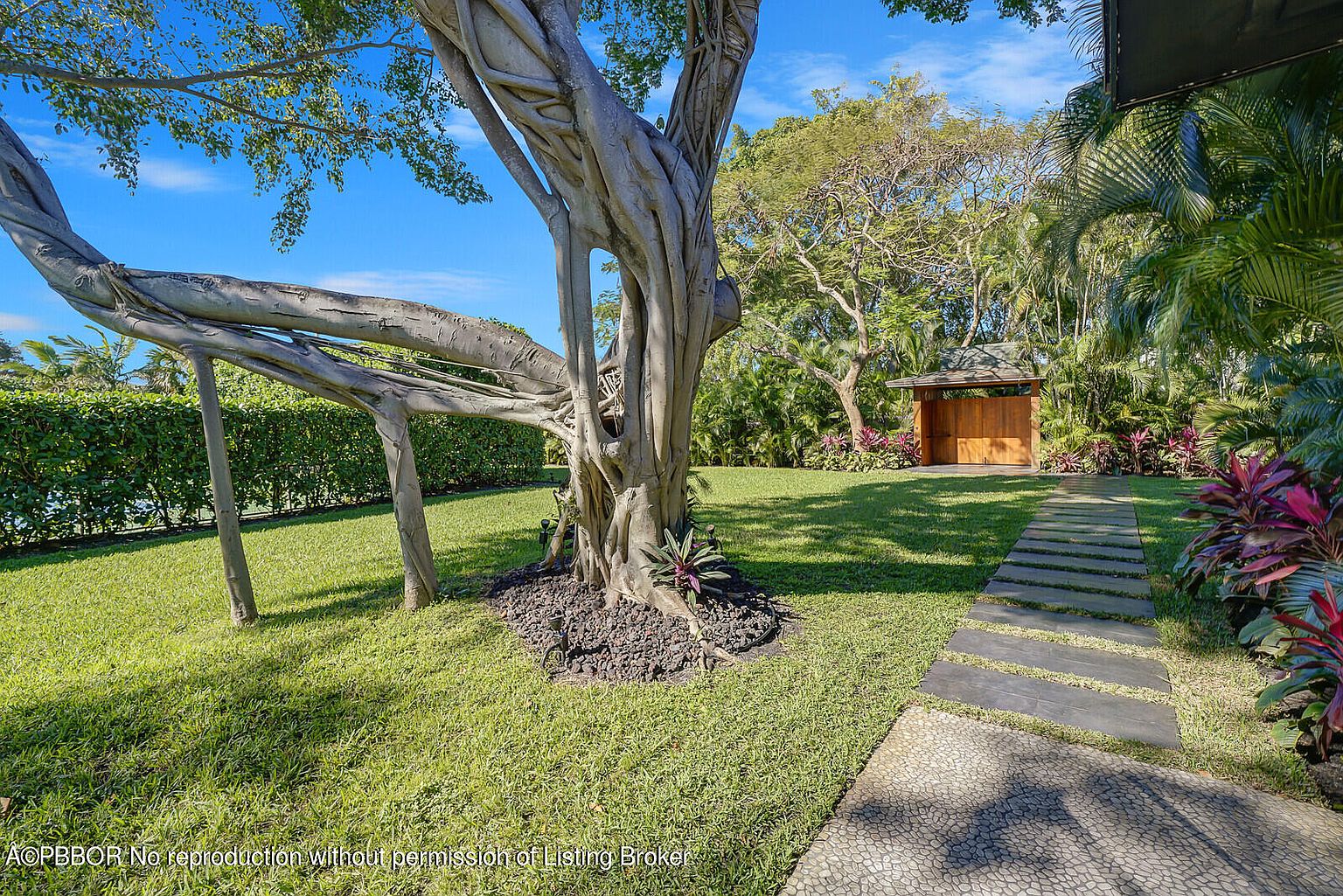 This image showcases a lush and well-maintained yard featuring a large, mature tree with unique branching patterns as a focal point. A stone pathway leads to a wooden structure in the background, surrounded by greenery and colorful plants. The scene evokes a sense of tranquility and natural beauty, highlighting the property's outdoor space.