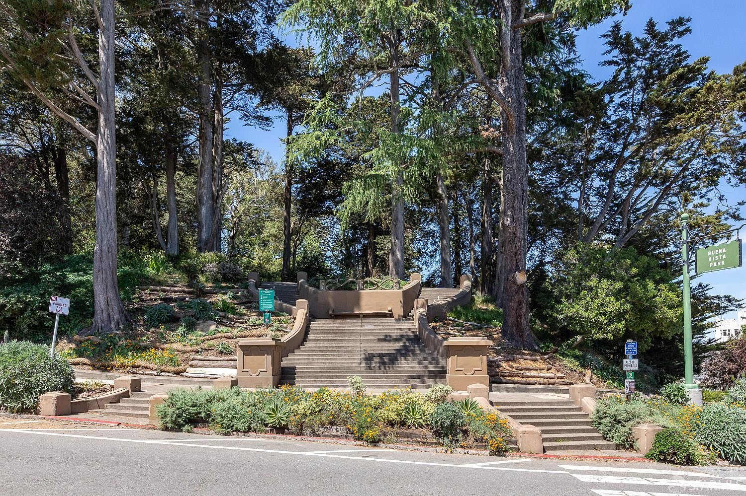 This image captures the grand, stone-stepped entrance to Buena Vista Park, framed by towering, mature trees that create a lush, natural canopy. The wide, symmetrical staircase leads upward into the park, flanked by manicured garden beds and decorative concrete pillars, offering a welcoming and serene point of access. The perspective is a straight-on, eye-level shot that emphasizes the park's inviting and well-maintained public space.