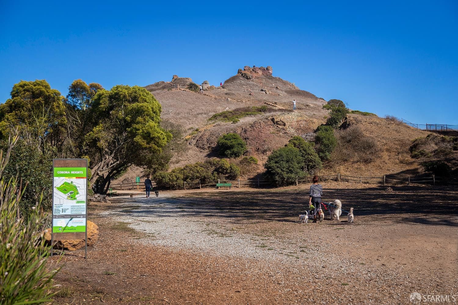 This image captures the entrance to Corona Heights Park, featuring a prominent informational sign and a gravel path leading toward a rugged, hilly landscape. The scene includes people walking their dogs, highlighting the recreational appeal of the area, while the clear blue sky and natural terrain emphasize the outdoor lifestyle. The perspective is a wide-angle ground-level shot that invites viewers into the park's natural setting.