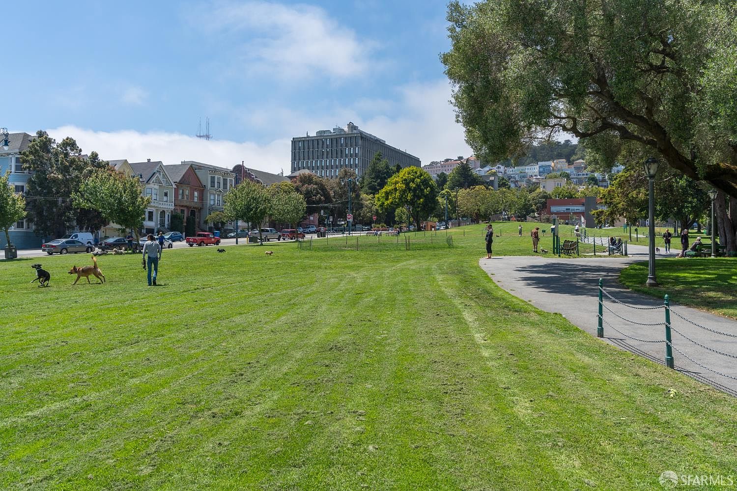 This image captures a vibrant public park in an urban setting, featuring a large, well-maintained grassy lawn perfect for recreation. The scene includes a paved walking path, mature trees providing shade, and a backdrop of classic San Francisco-style architecture and a large office building. The perspective is a wide, eye-level shot that emphasizes the open space and community atmosphere of the neighborhood.
