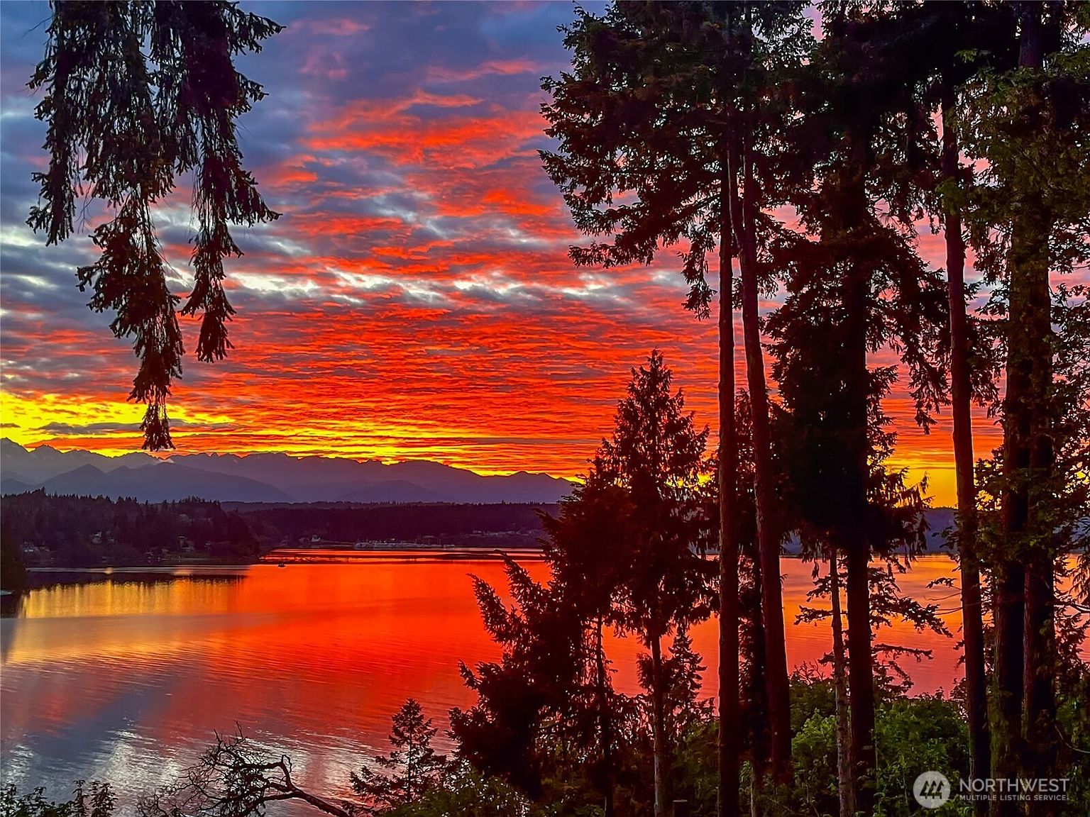 This image showcases a breathtaking sunset view over a body of water, likely a lake or bay, framed by silhouetted trees in the foreground. The sky is ablaze with vibrant orange and red hues, reflecting beautifully on the water's surface. The scene evokes a sense of tranquility and natural beauty, highlighting the property's desirable location and stunning vista.