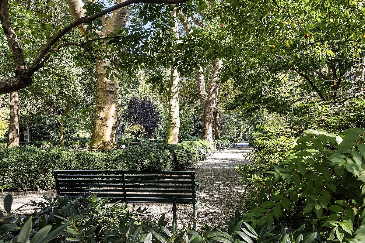 This serene park setting features a gravel pathway lined with mature trees and manicured hedges, creating a peaceful, shaded walkway. A dark metal bench sits in the foreground, inviting visitors to enjoy the lush, green landscape. The perspective is eye-level, capturing the dappled sunlight filtering through the dense canopy above.