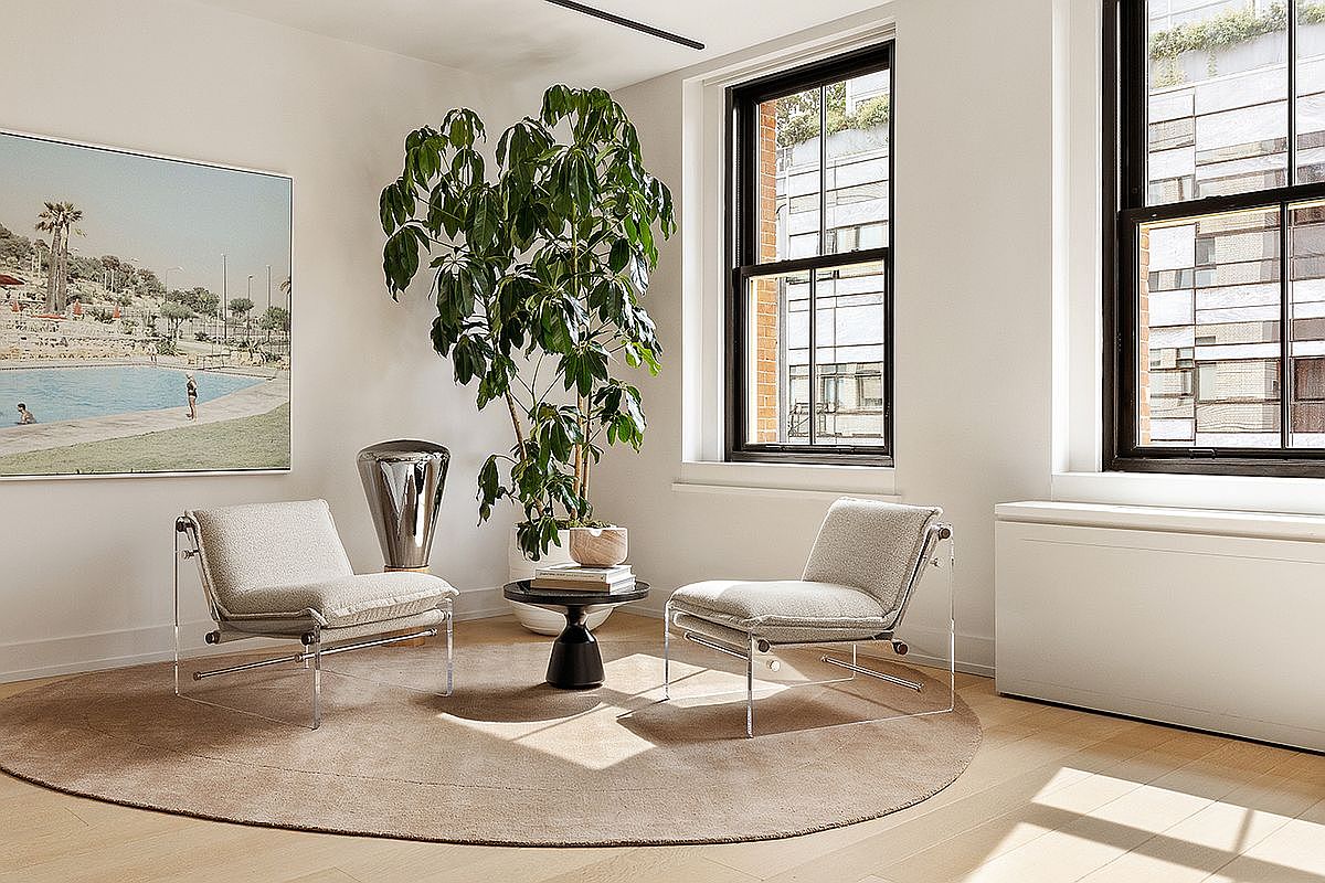 This is an interior shot of a living room featuring two modern chairs with clear frames, positioned on a round rug. A large plant sits between the chairs, next to a small black table. A piece of art hangs on the wall, and natural light streams in through two large windows, creating a bright and airy atmosphere.