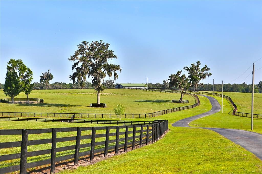 This image showcases a sprawling, well-maintained yard with lush green grass and a winding driveway. A black wooden fence lines the property, adding a touch of elegance and security. Mature trees dot the landscape, providing shade and visual interest, while a building is visible in the distance, suggesting a spacious estate.