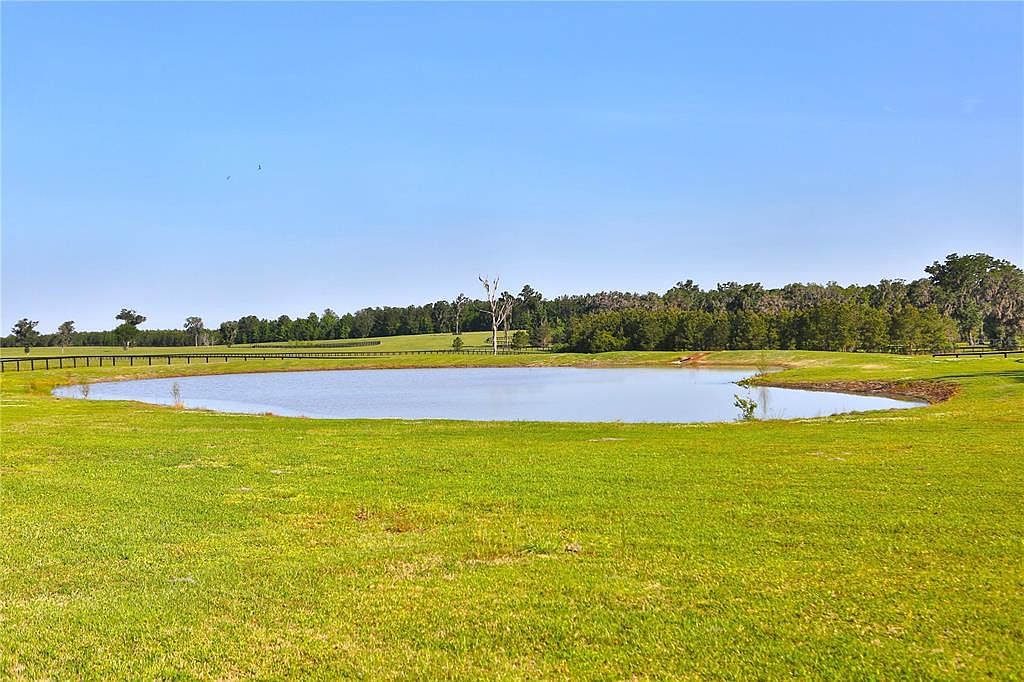 This image showcases a serene yard with a pond as its centerpiece. Lush green grass covers the foreground, leading to the water's edge. A wooden fence runs along the perimeter, and a line of trees forms a backdrop, creating a peaceful and inviting outdoor space.