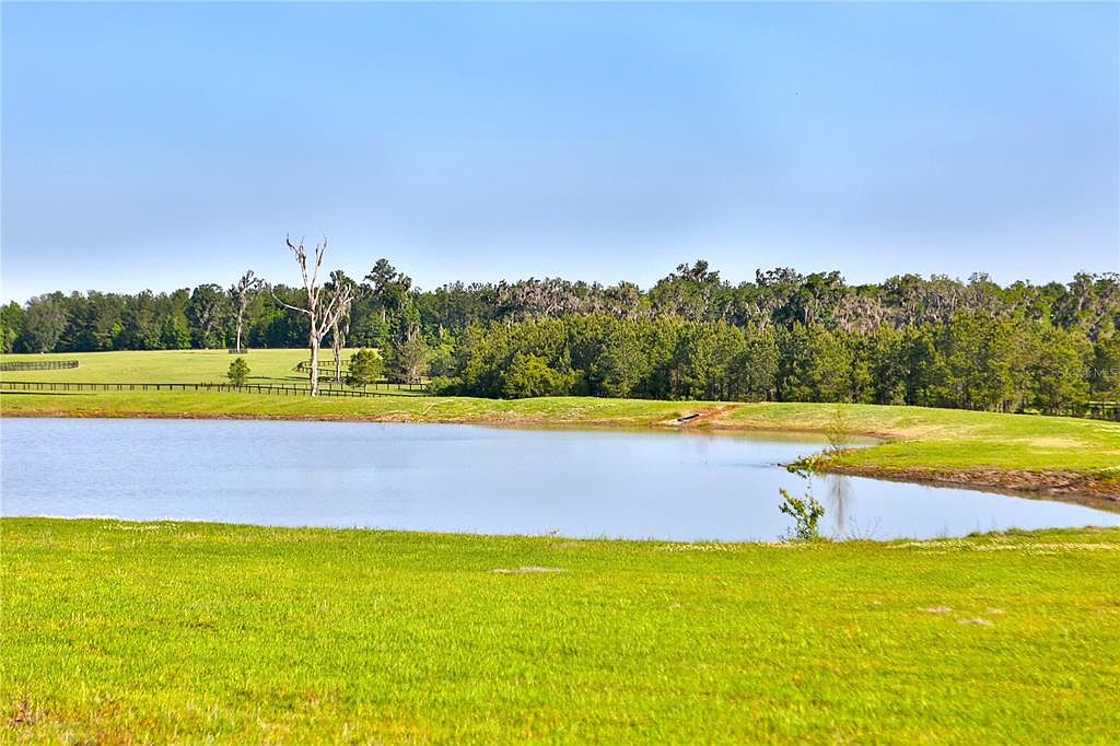 The image showcases a serene landscape featuring a lush green lawn in the foreground, leading to a tranquil pond. Beyond the pond, a line of trees creates a natural backdrop, with a clear blue sky overhead. A fence is visible in the mid-ground, adding a touch of structure to the otherwise natural setting.