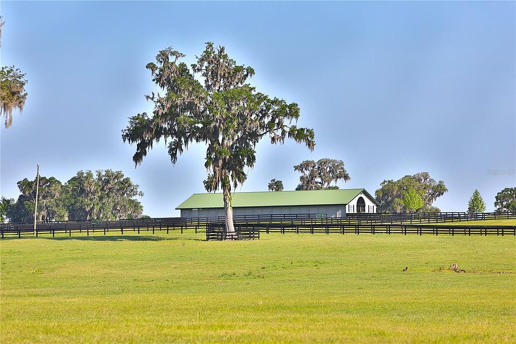 This image showcases a sprawling green yard with a large tree in the foreground, draped with Spanish moss. A long, dark wooden fence runs across the midground, partially obscuring a barn-like structure with a green roof. The scene is bathed in soft daylight under a clear blue sky, creating a serene and picturesque setting.