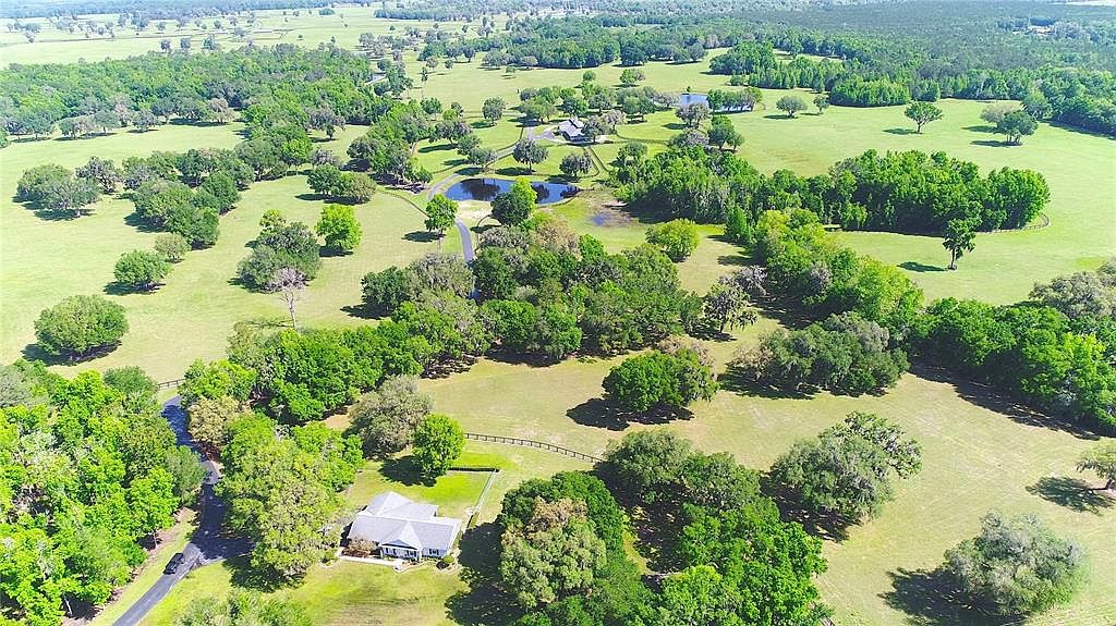 This aerial view showcases a sprawling estate with lush green pastures dotted with mature trees and a winding driveway leading to a well-maintained home. A serene pond adds to the property's charm, creating a picturesque and private setting. The landscape is expansive and well-manicured, suggesting a high-end, rural retreat.