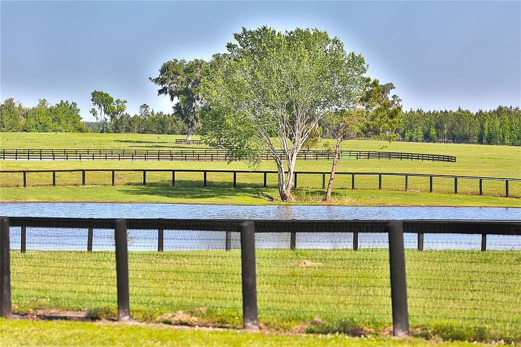 The image showcases a serene yard or garden area, featuring a lush green lawn, a tranquil pond, and a sturdy black fence. Mature trees dot the landscape, adding to the property's natural beauty and privacy. The scene evokes a sense of peaceful countryside living, ideal for relaxation and outdoor activities.
